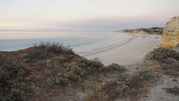 Une plage côtière avec un rivage sablonneux, une falaise sur la droite et une végétation clairsemée au premier plan.