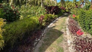 A pathway lined with palm trees and tropical plants, leading towards a building. - Mai Sunset Beach Resort (Naviti Island)