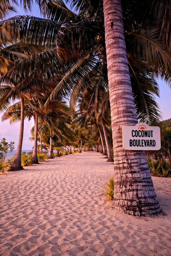 A pathway lined with palm trees and a sign reading 'Coconut Boulevard.' - Mai Sunset Beach Resort (Naviti Island)
