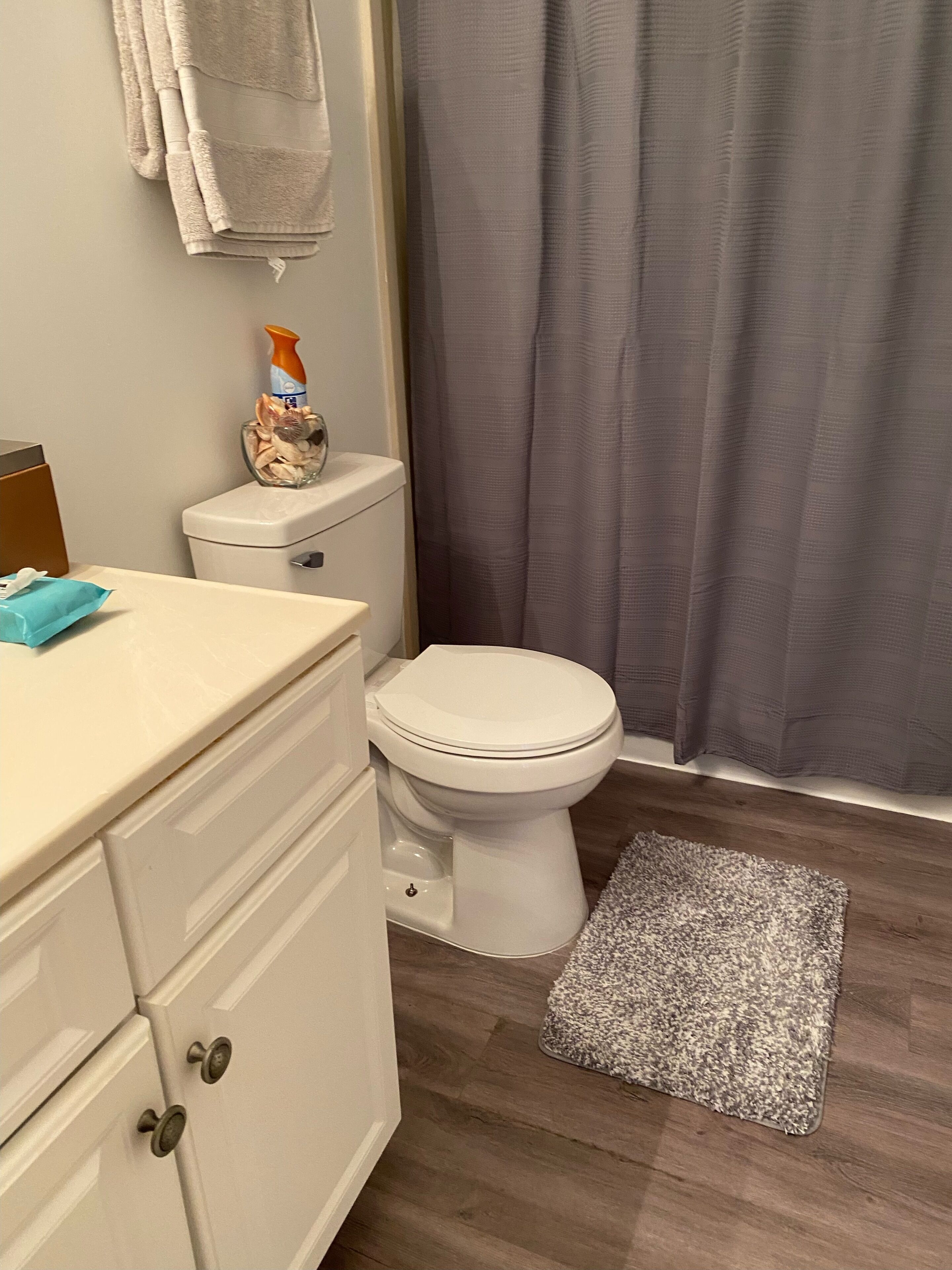 Et badeværelse med toilet, håndvask, bøjle til håndklæder, badeforhæng og en måtte.
