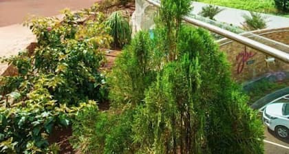 Mastiff Select Bidar