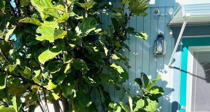 Blue Bungalow of St. Pete Beach! Adjacent to the trail. The perfect location!