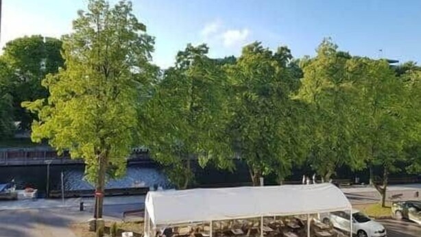 A covered outdoor seating area with tables and chairs, surrounded by trees.