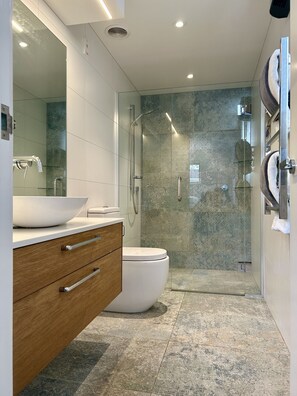 Shower, hair dryer, towels, soap