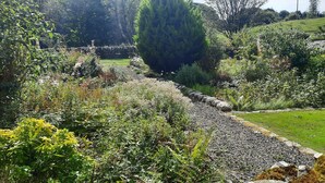 A garden with a stone pathway, various plants, and a large tree.