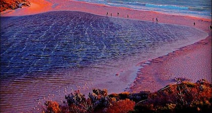 Ocean Blue Cottage ~ Stunning Ocean Views ~ All Linen Incl & Pets Welcome!