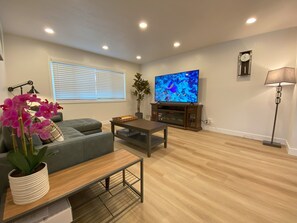 TV connectée, cheminée, livres