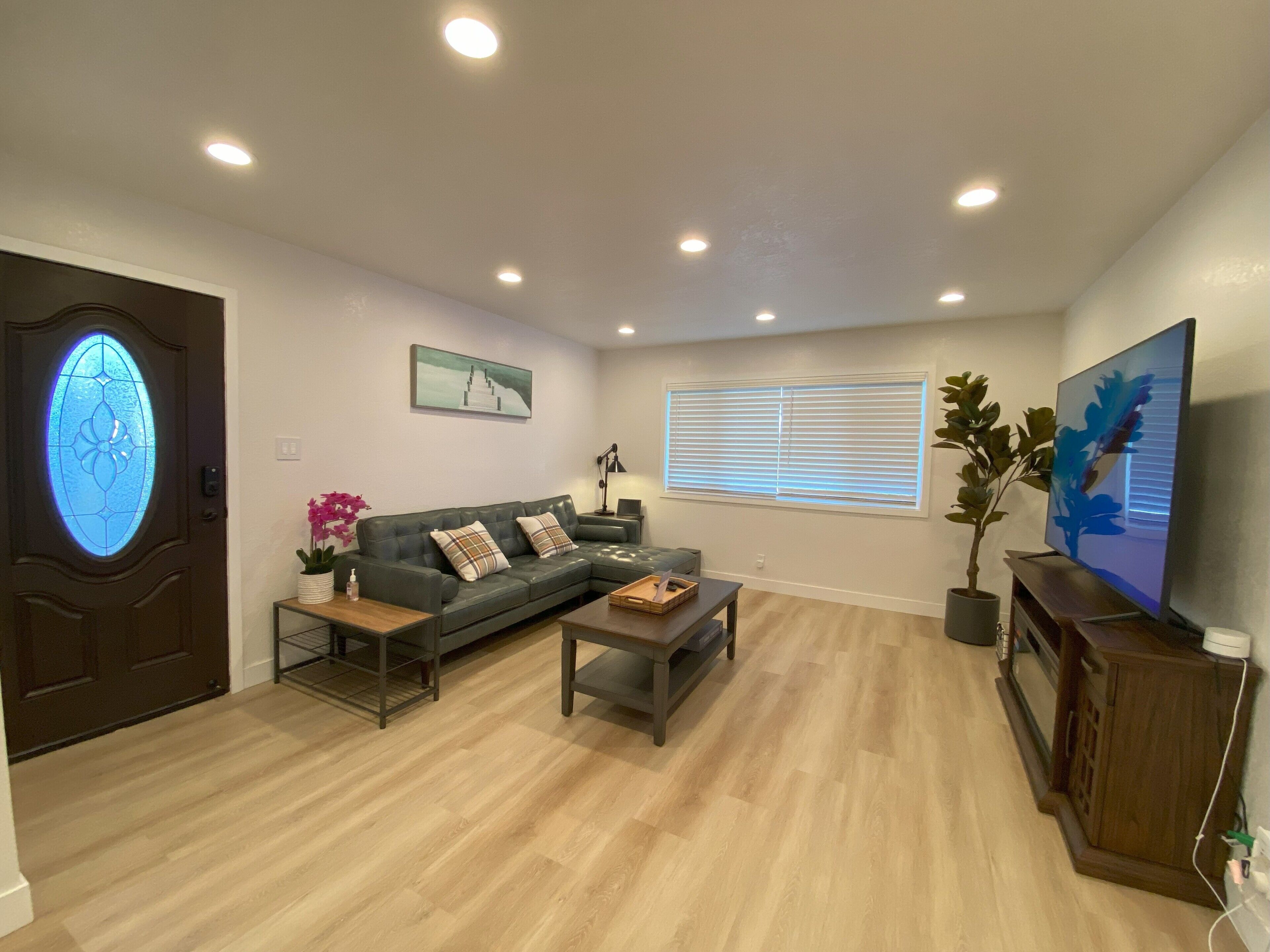 Smart TV, fireplace, books