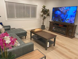 TV connectée, cheminée, livres