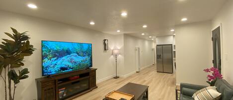 Smart TV, fireplace, books