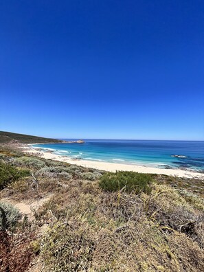 A coastal landscape with a beach, clear blue sky, and dry vegetation.