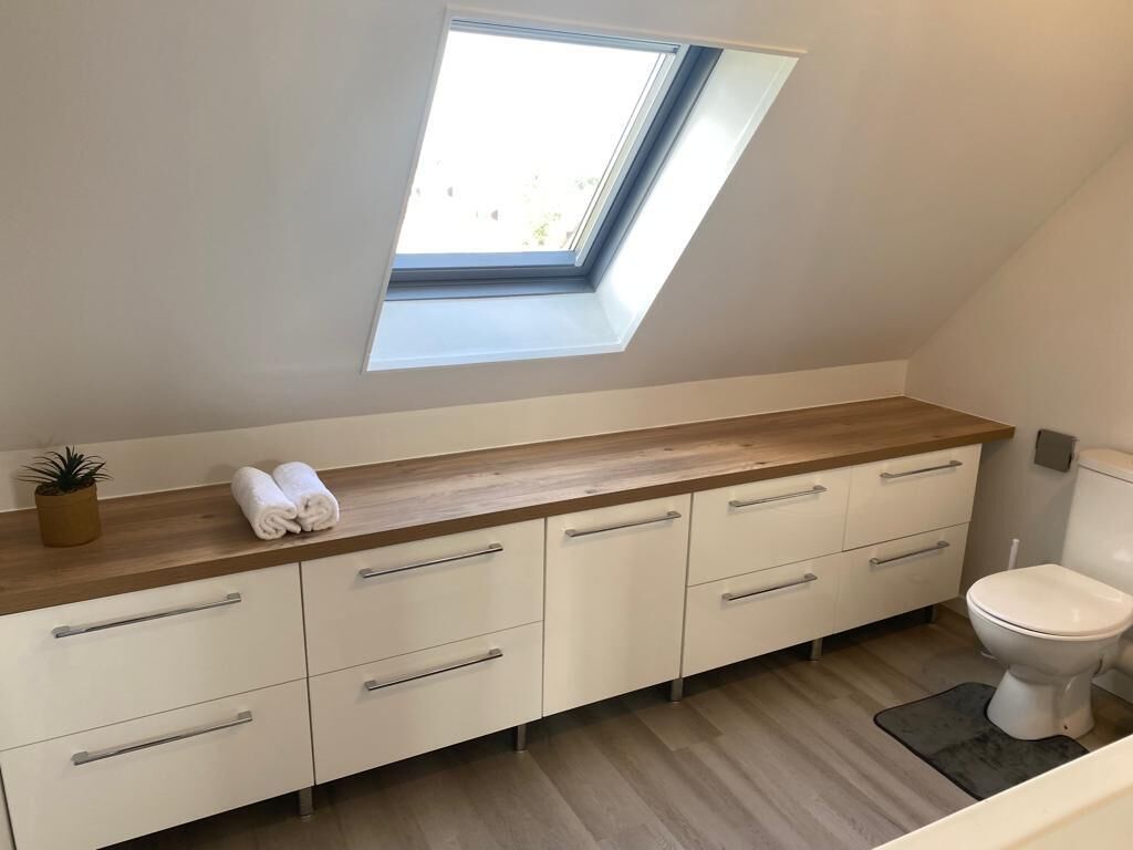 Shower, towels, toilet paper