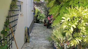 Área da propriedade