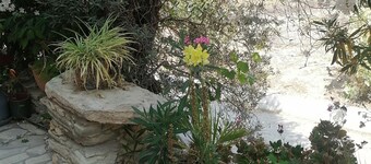 Άνετο διαμέρισμα κατάλληλο για τις διακοπές σας! Korfes Apartments