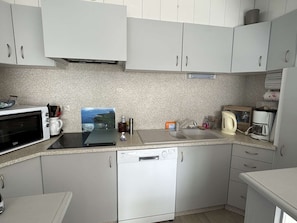 Fridge, oven, stovetop, dishwasher