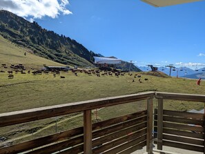 Un paisaje montañoso con una manada de ganado pastando en un campo cubierto de hierba, un edificio con techo blanco, y un telesilla al fondo.