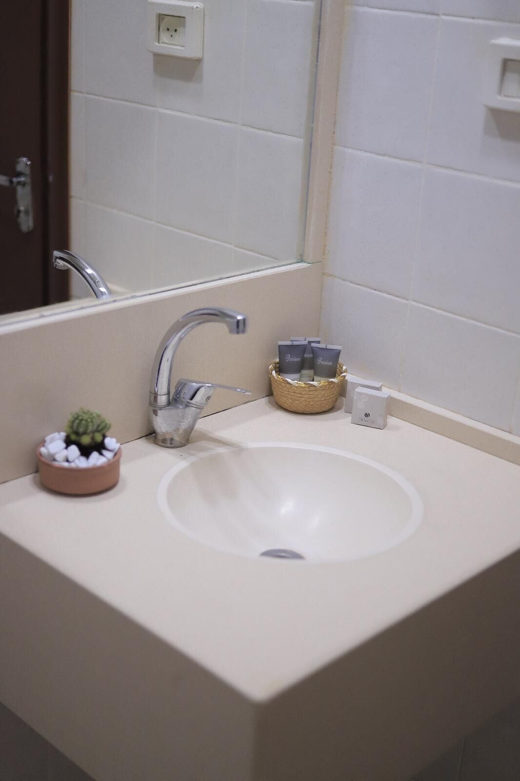 A bathroom with a white sink, a mirror, and a small potted plant.