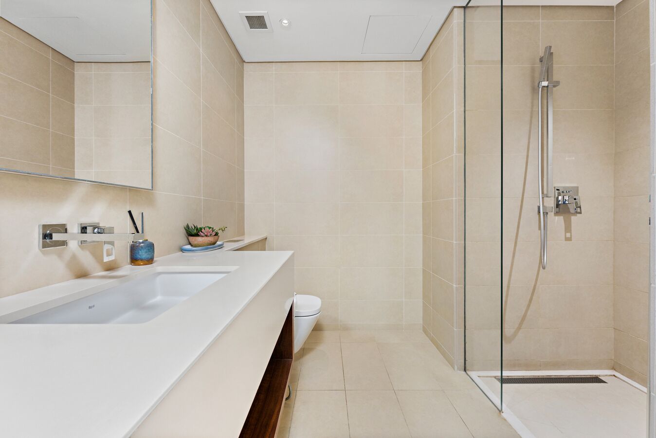 A modern bathroom with a glass shower enclosure, a white sink, and a mirror.