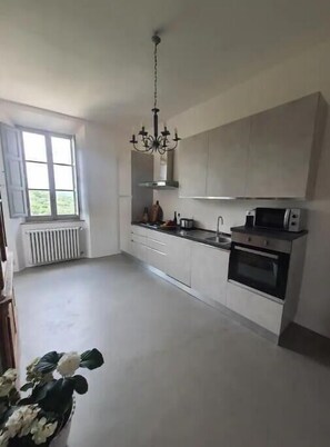 Mikrowelle, Ofen, Herdplatte, Geschirrspüler