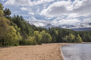 Beach - The Roost. (Aviemore)