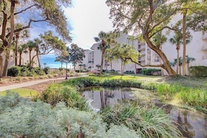 A landscaped garden with a pond, palm trees, and a pathway leading to a building with balconies.