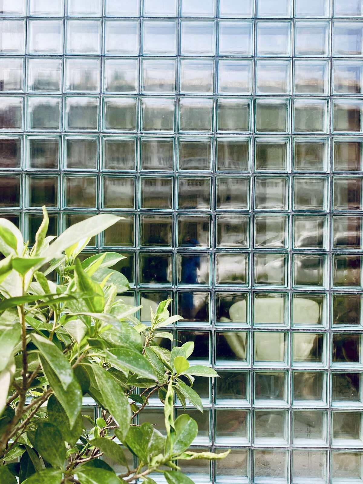 Ett fönster med ett rutmönster, troligen tillverkat av glasblock, med lite grönska i förgrunden.