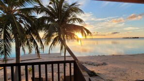 Une plage bordée de palmiers et dotée d’une terrasse en bois.
