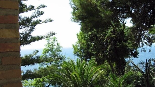 Un paysage côtier avec une variété d’arbres et une vue dégagée sur la mer.