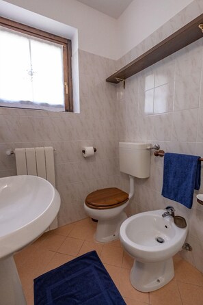 Hair dryer, towels