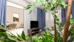 A modern living room with a flat-screen TV, a dining area with chairs, and a potted plant. - Domus Lauri Palace Resort terrace 4 perosons (Umag)
