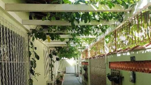A narrow corridor with a tiled floor, green plants hanging from the ceiling, and a metal gate on the left. - Casa das Flores (Rio das Ostras)