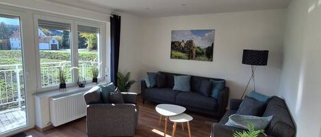 Smart TV, fireplace, books