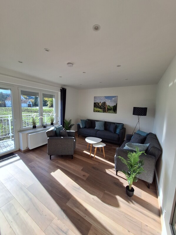 TV connectée, cheminée, livres