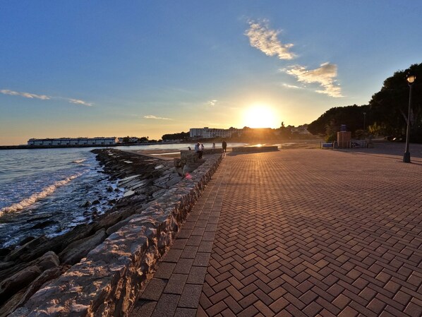 A paved walkway along a waterfront with a stone wall on one side and a row of buildings in the background.