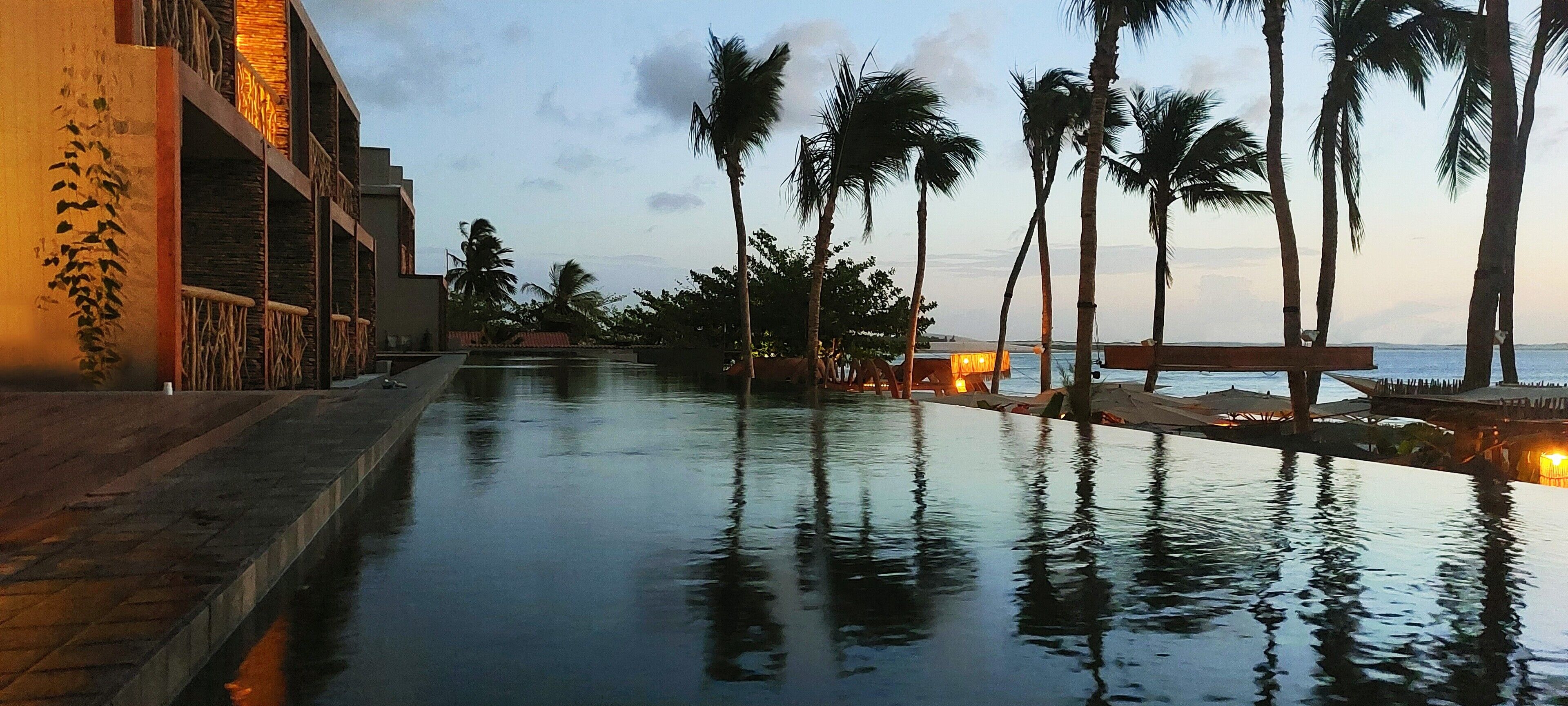 A pool area with a view of the sea, palm trees, and a building with a balcony.