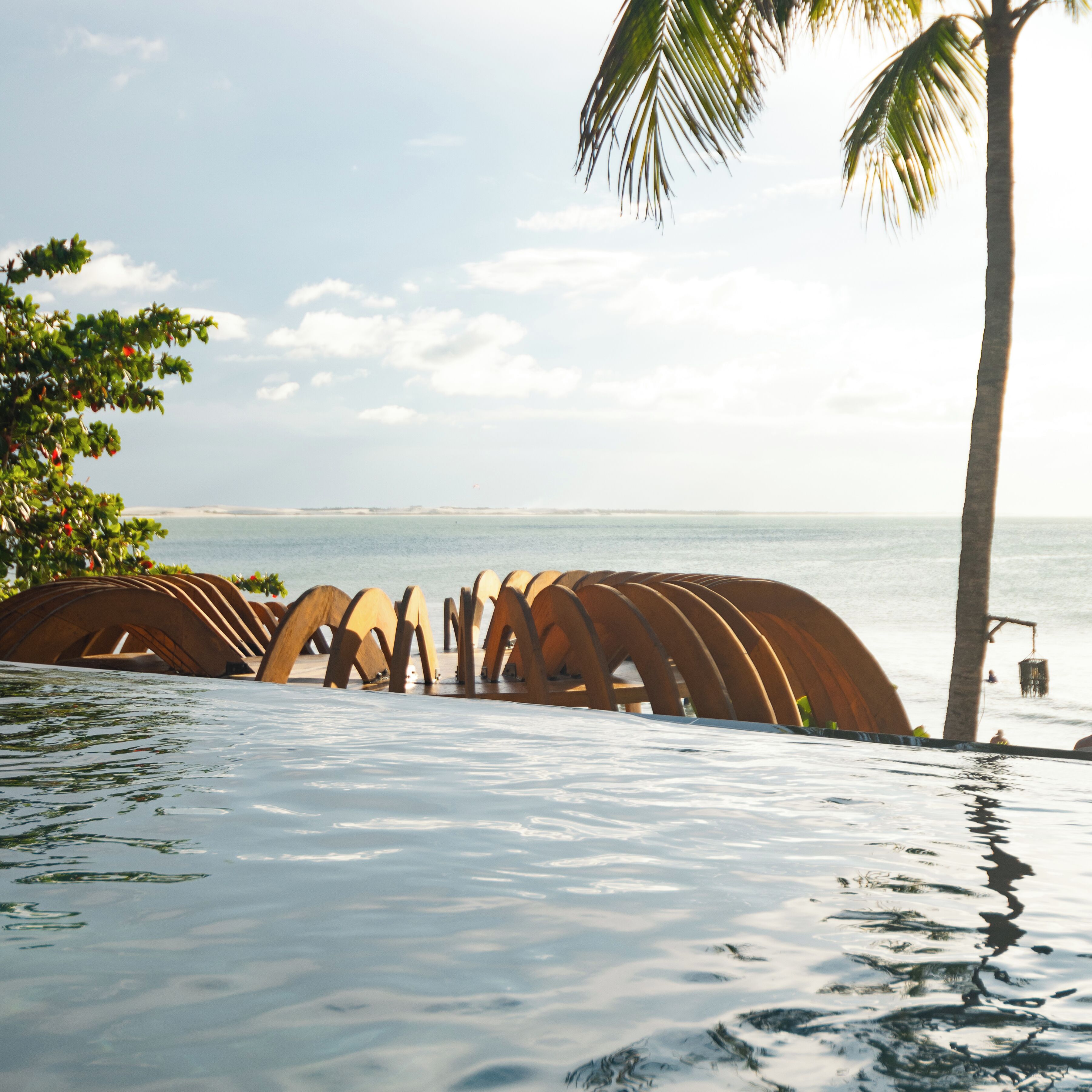 Una piscina infinita con vista al océano y una palmera.