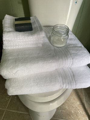 Douche, serviettes fournies, savon, shampoing