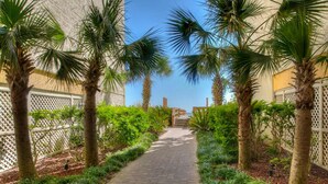 A paved pathway flanked by palm trees and lush greenery, leading to a building with a lattice fence.