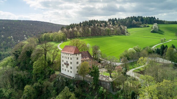 A castle surrounded by lush greenery and a large green field. - Eventlocation & Hotel Schloss Neuburg (Obrigheim)