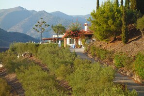 Property grounds - Villa Sinsonte (Torrox)