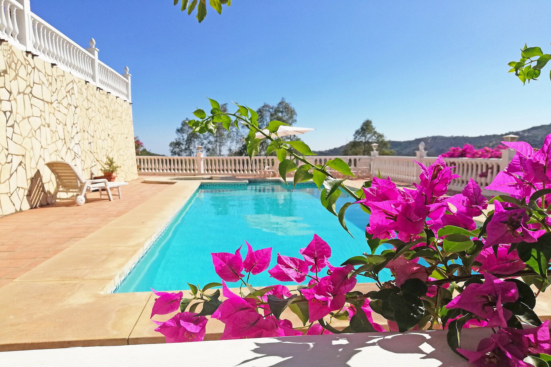 Ein Swimmingpool mit Steinmauer und weißem Zaun, umgeben von Bougainvillea-Blumen.