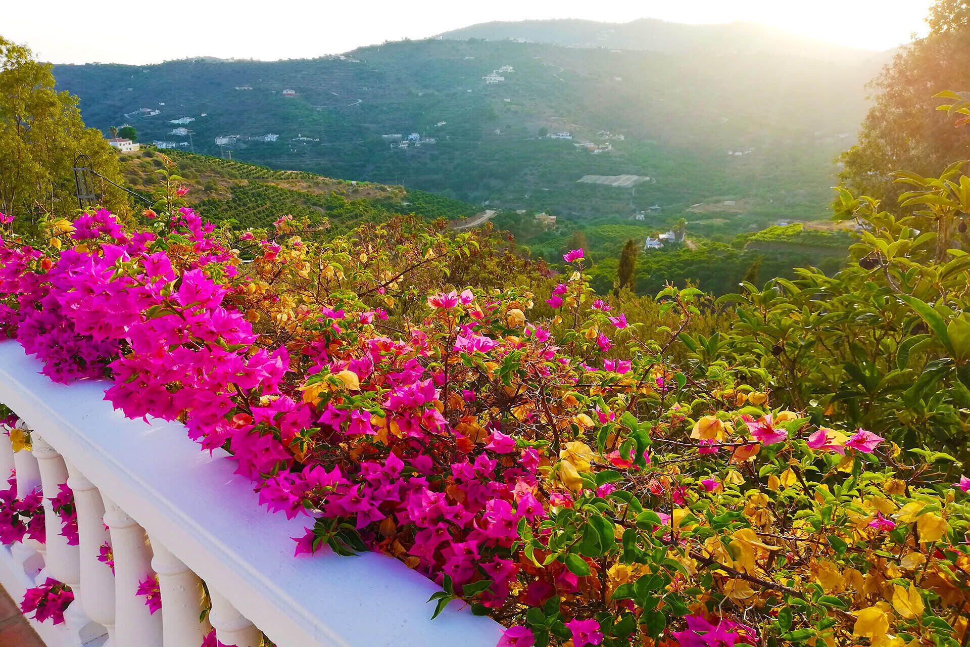 Uma varanda com vibrantes flores de buganvília, com vista para uma paisagem montanhosa.