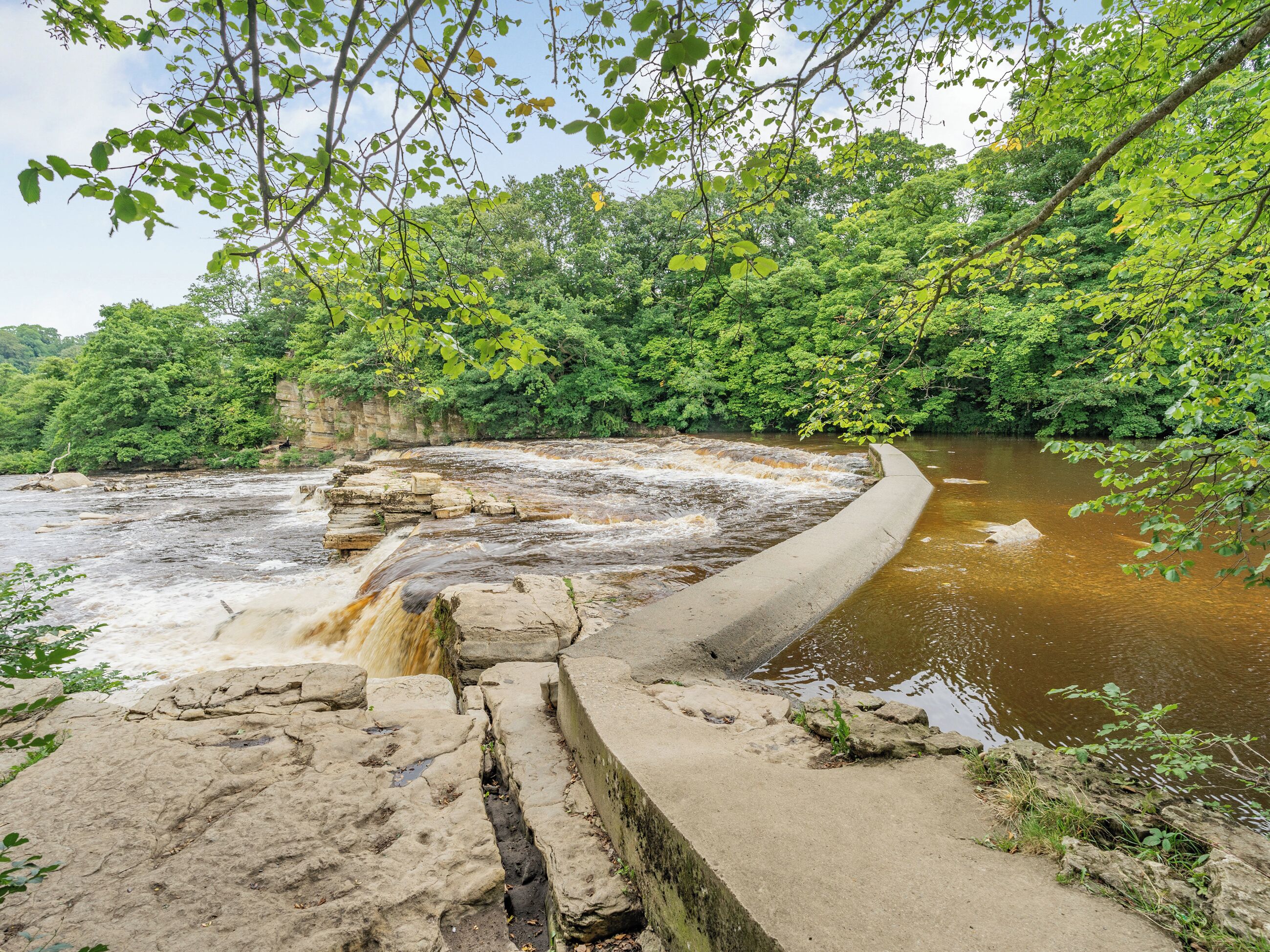 Une rivière avec un barrage en béton, entourée d’une végétation luxuriante.