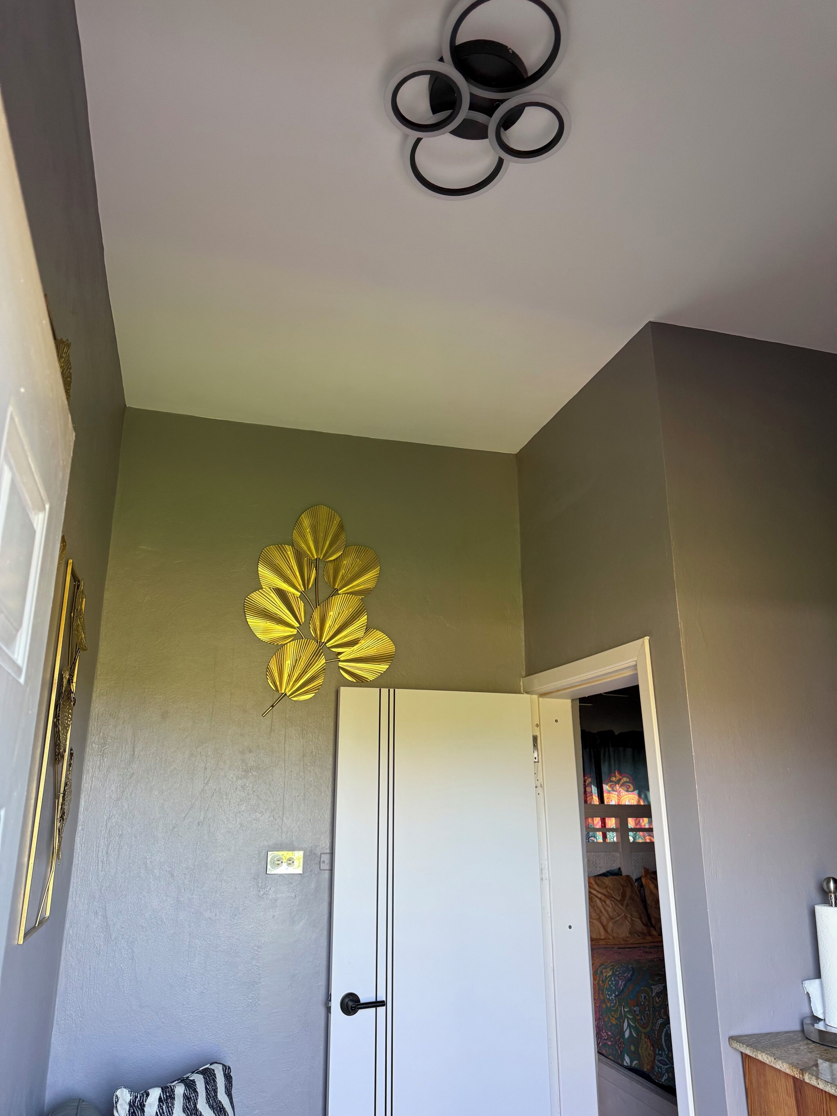 Een kamer met een witte deur, een plafondlamp en een decoratief blad aan de muur.