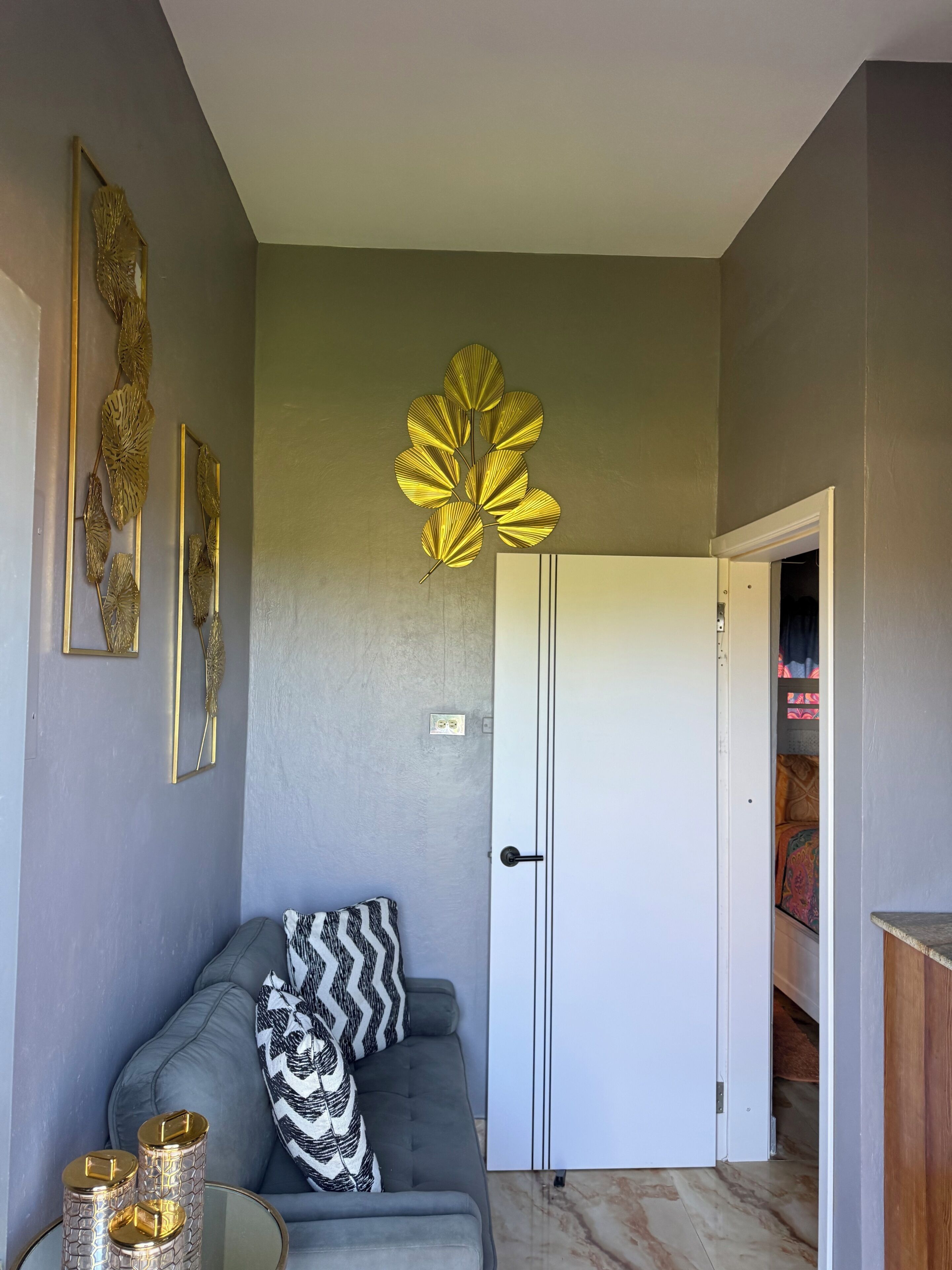 Uma sala de estar com um sofá cinzento, uma almofada estampada, uma porta branca e um corredor que dá para um armário.