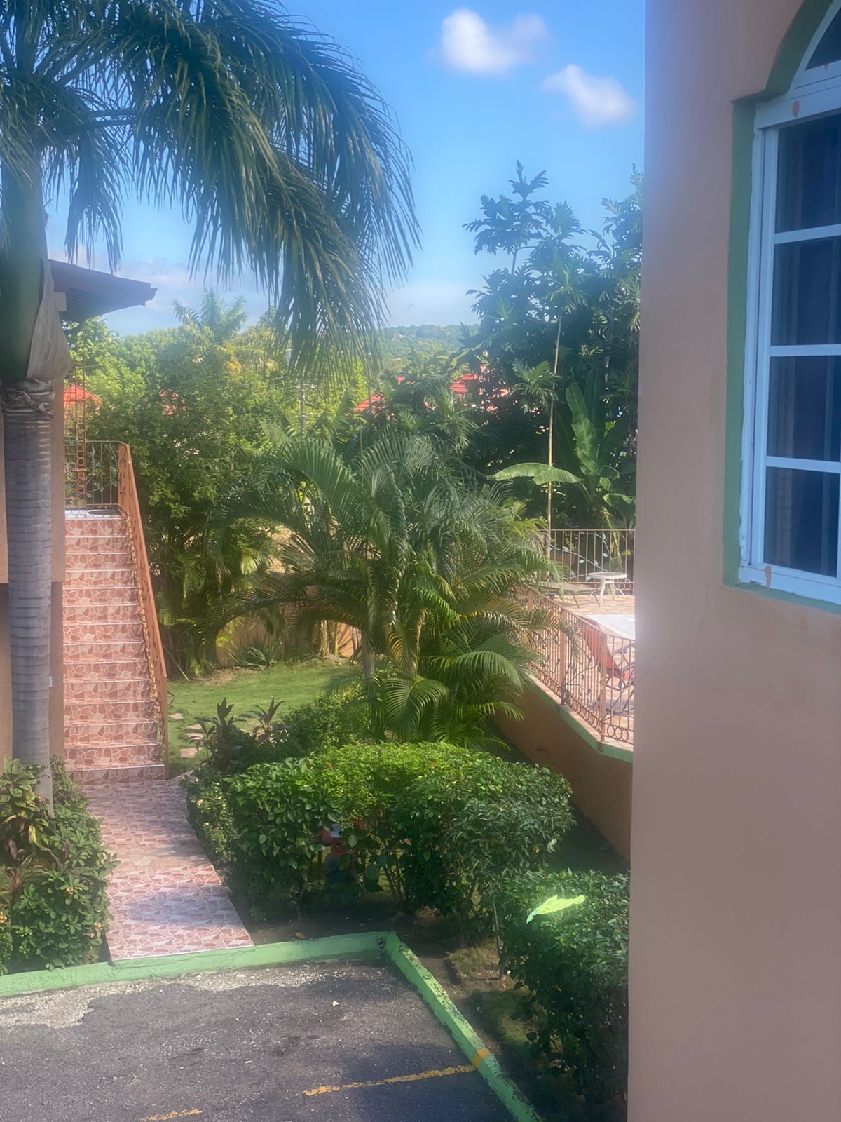 A view of a courtyard with a staircase leading to a balcony, surrounded by lush greenery and palm trees.