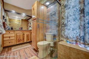 Shower, towels, toilet paper