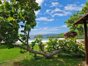Property grounds - "Spectacular Oceanfront Villa with Pool Paradise 6 Bedrooms 6 Baths - Sleeps 20" (Playa Mia, Azua, República dominicana)