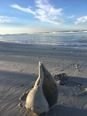 Playa