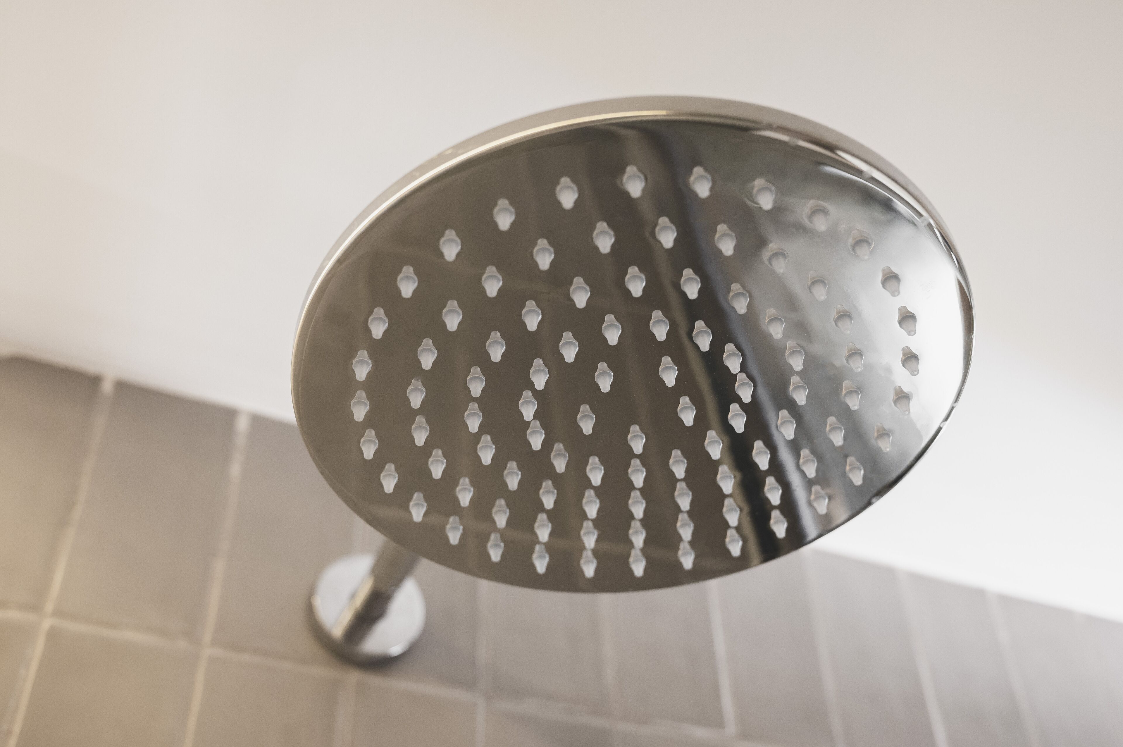 A showerhead with a circular design and multiple small holes.